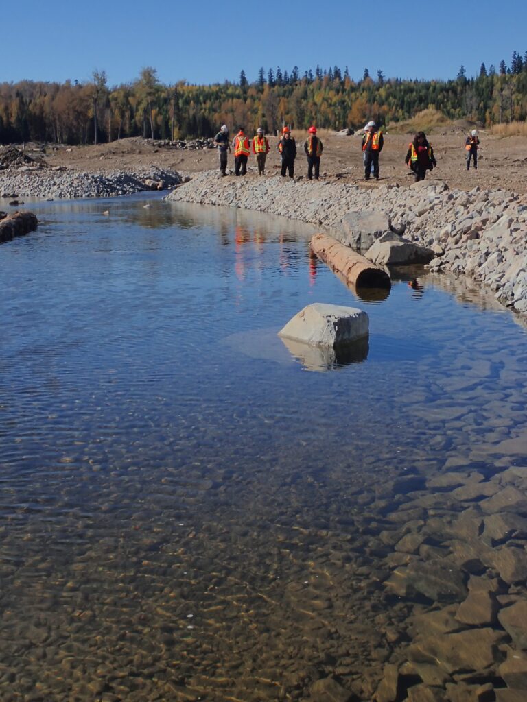 Tour of aquatic habitat construction in lower Hazeltine Creek