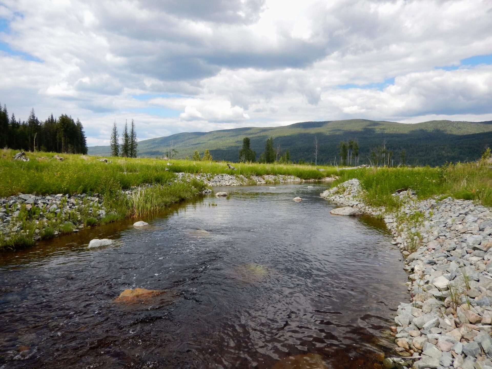 Mount Polley Mine: A Decade of Environmental Restoration and Progress ...