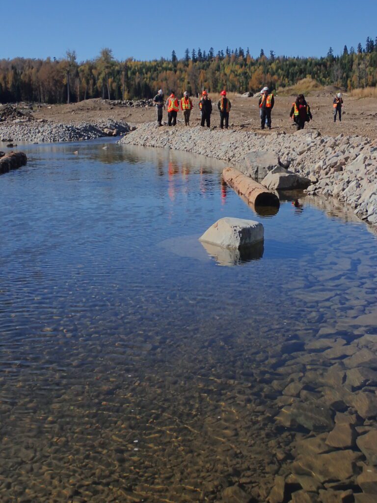 Mount Polley Mine: A Decade of Environmental Restoration and Progress ...