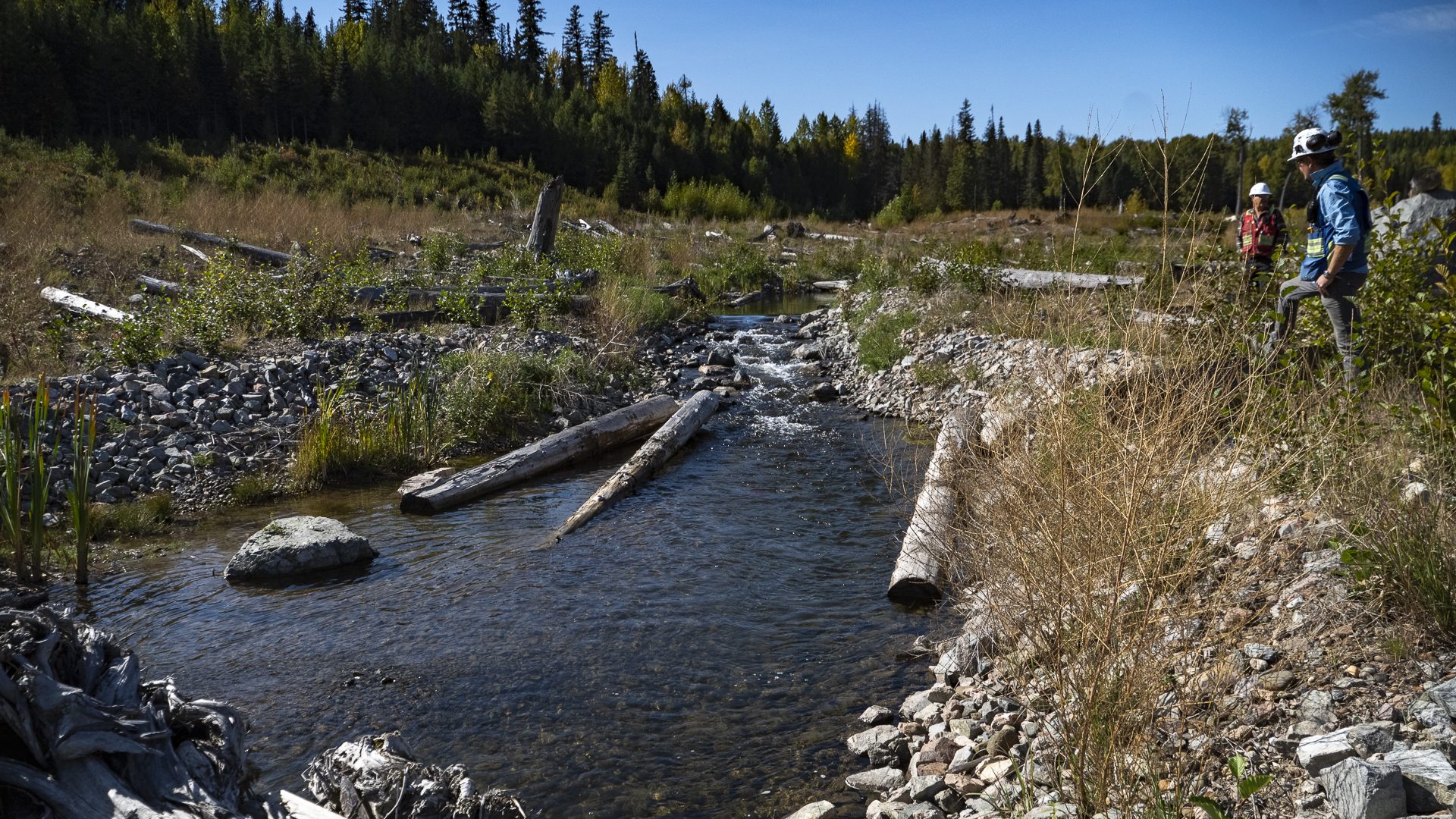 Hazeltine Creek Remediation